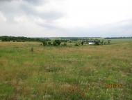 Тімірязєве з panoramio.com