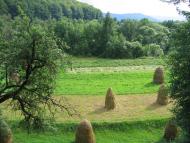 Добротів з panoramio.com