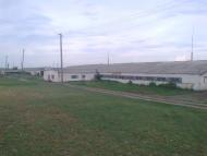 Новоганнівка з panoramio.com