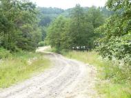 Карпи з panoramio.com