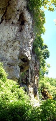 Петрів з panoramio.com