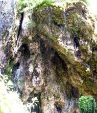 Петрів з panoramio.com