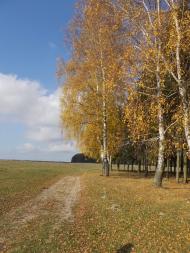 Підріжжя з panoramio.com