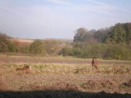 Хлопчиці з panoramio.com