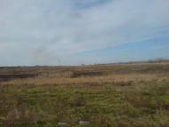 Максимільянівка з panoramio.com