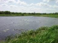 Коленці з panoramio.com