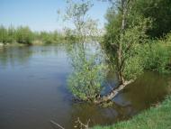 Бухарів з panoramio.com