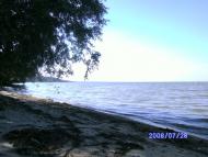 Садове з panoramio.com