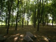 Майбородівка з panoramio.com