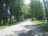 Баламутівка з panoramio.com