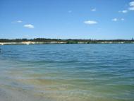 Діброва з panoramio.com