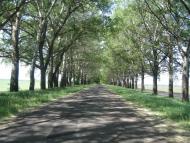 Дружба з panoramio.com