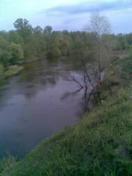 Білики з panoramio.com