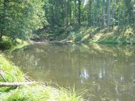 Кулики з panoramio.com