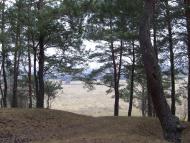 Суворовське з panoramio.com