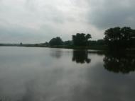 Очеретувате з panoramio.com