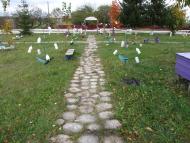 Кам'янка з panoramio.com