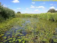 Гірськ - Останні фото