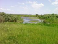 Коленці з panoramio.com