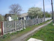 Чаплине з panoramio.com