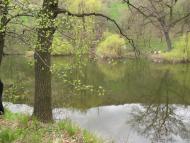 Анновка - Последние фото