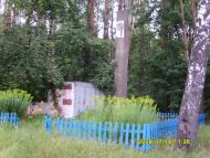 Медведівка з panoramio.com