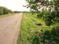 Дмитрівка з panoramio.com