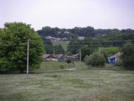 Верба з panoramio.com