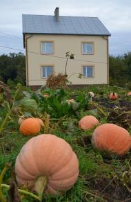 Гаї-Шевченківські з panoramio.com