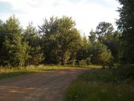 Струмок з panoramio.com