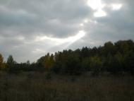 Струмок з panoramio.com