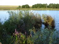 Бондарівщина з panoramio.com