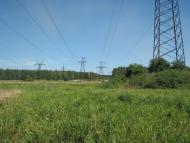 Черкаський Бишкин з panoramio.com