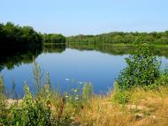 Рижівка з panoramio.com