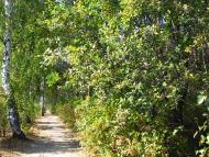 Малійки з panoramio.com