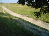 Тристень з panoramio.com