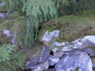 Кузьминець з panoramio.com - Кузьминець