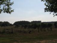 Цибулів з panoramio.com