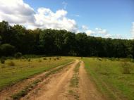 Бабичі з panoramio.com