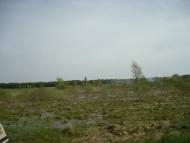 Вівчицьк з panoramio.com