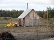 Межисить з panoramio.com