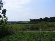 Слободище з panoramio.com