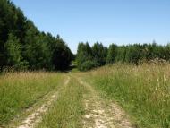 Коросне з panoramio.com