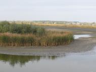 Сукачі з panoramio.com