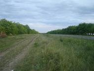 Новий Глібів з panoramio.com