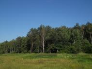 Струмок з panoramio.com