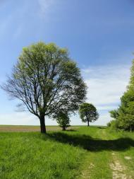 Хорохорин з panoramio.com