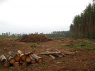 Дадакалівка з panoramio.com