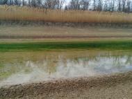 Побєдне з panoramio.com