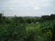 Бухарів з panoramio.com